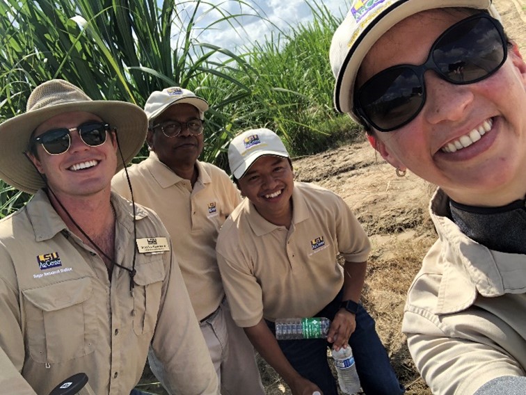 People with work shirt standing in front of a sugarcane field.